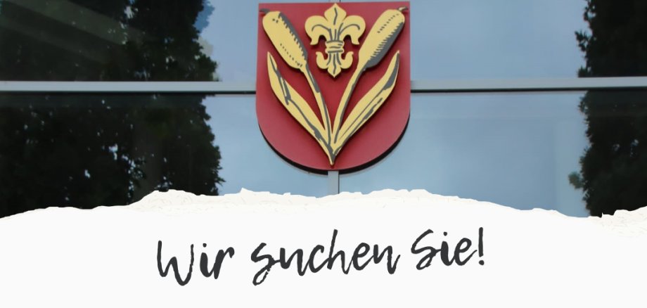 Stellenausschreibung - 1. Gemeinderat - Insta - 7 Stellenausschreibung - 1. Gemeinderat - Insta - 7